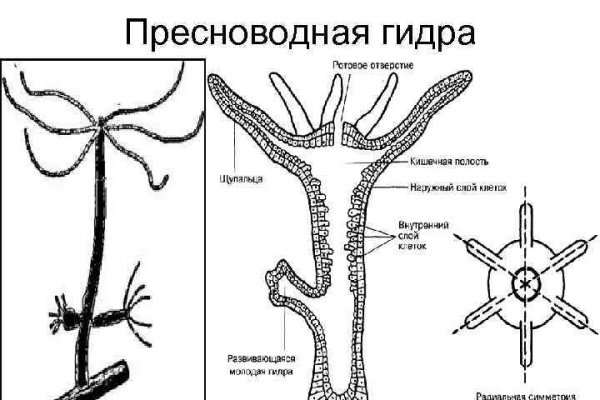 Зайти кракен через тор