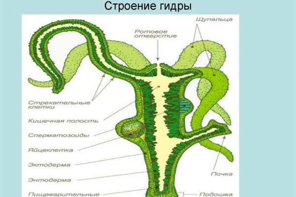 Замена гидры сайта